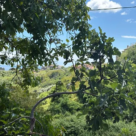 Fine Country And Sea Retreat Casa de Férias